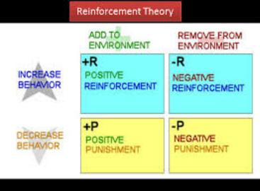 Reinforcement Theory Team motivation